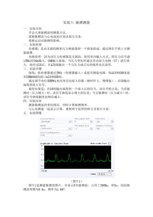 实验六 脉搏测量