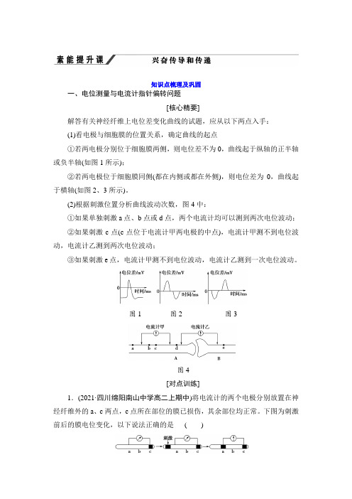 【高中生物】2.兴奋传导和传递 讲义(知识点 提升 巩固)【新教材】选择性必修一