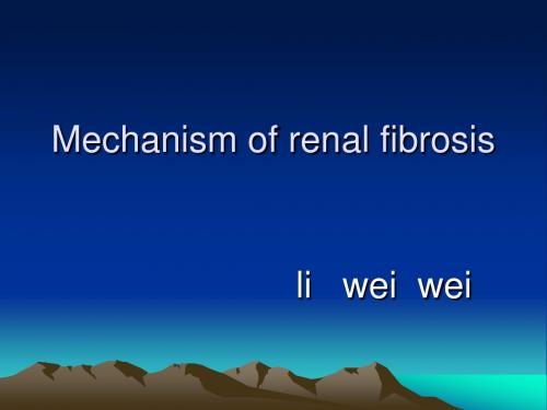 肾纤维化的机制