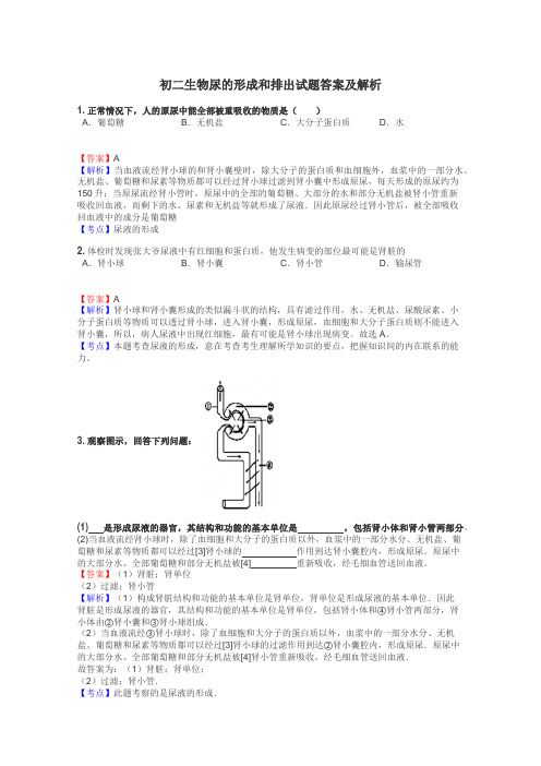 初二生物尿的形成和排出试题答案及解析
