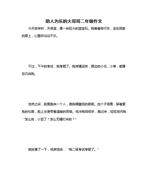 助人为乐的大哥哥二年级作文