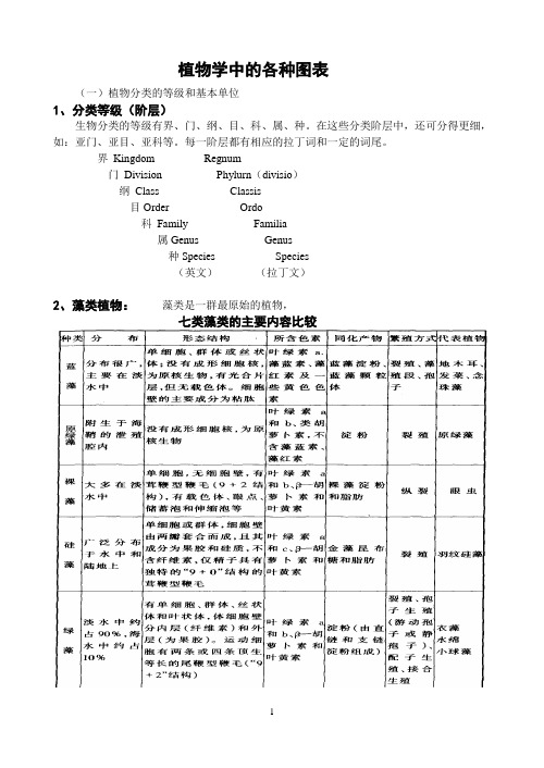 植物学中的各种图表