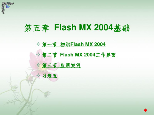 《FlashMX2004基础》PPT课件