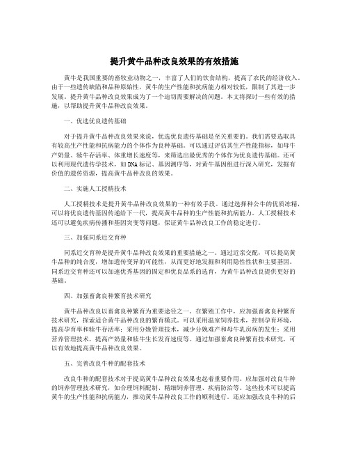 提升黄牛品种改良效果的有效措施