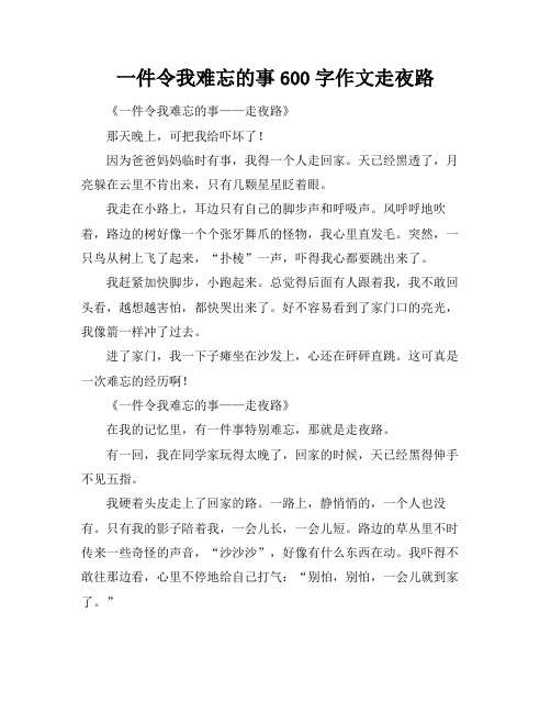 一件令我难忘的事600字作文走夜路