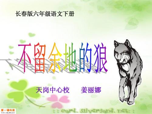 不留余地的狼的PPT新