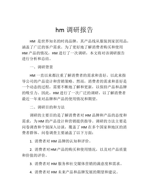 hm调研报告