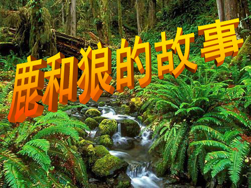 14鹿和狼的故事(完美)
