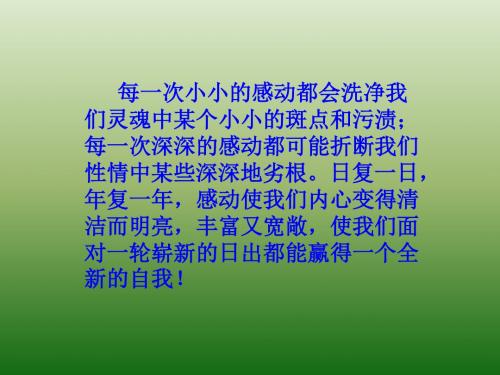 语文:1.3《废墟的召唤》课件(1)(语文版九年级下册)