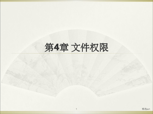 《文件权限》PPT课件