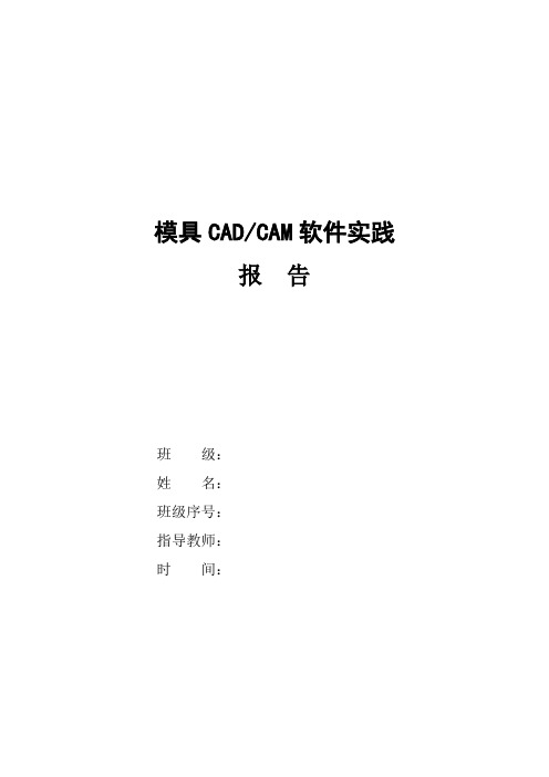 CAD CAE软件实践报告