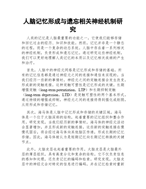 人脑记忆形成与遗忘相关神经机制研究