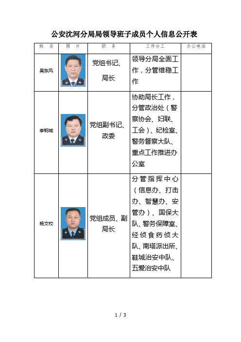 公安沈河分局局领导班子成员个人信息公开表