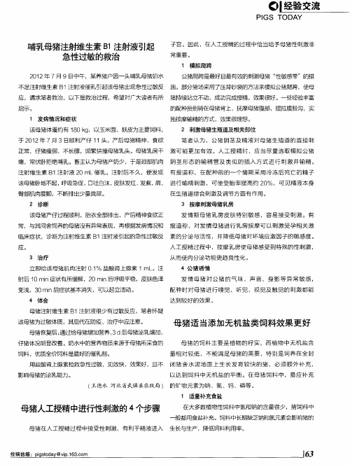哺乳母猪注射维生素B1注射液引起急性过敏的救治