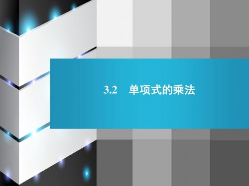 3.2单项式的乘法.2