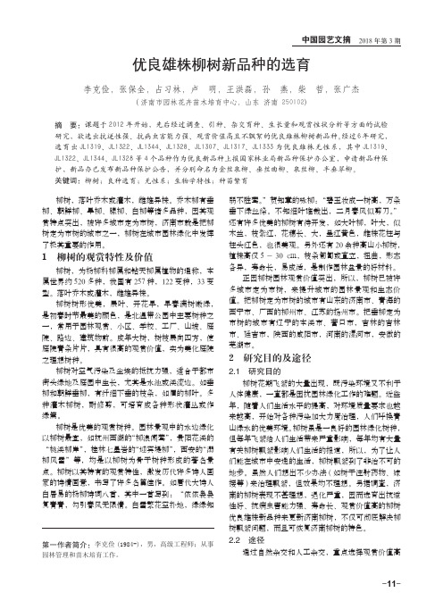 优良雄株柳树新品种的选育