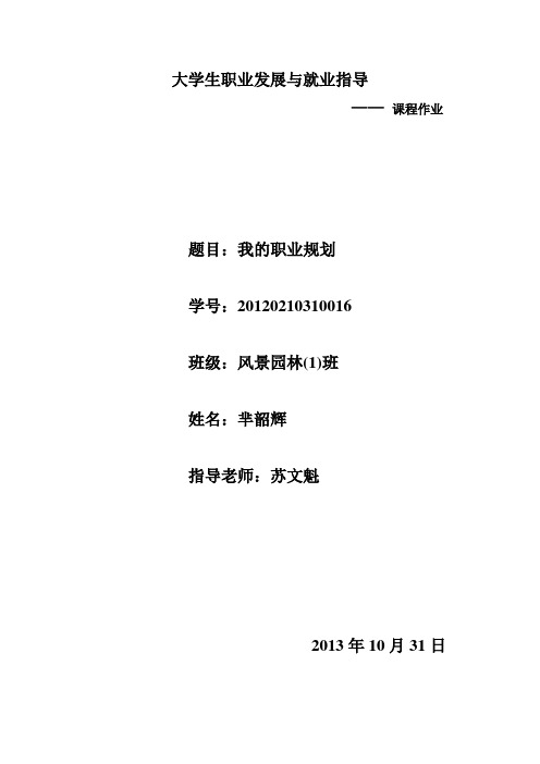 大学生职业发展与就业指导  课程作业