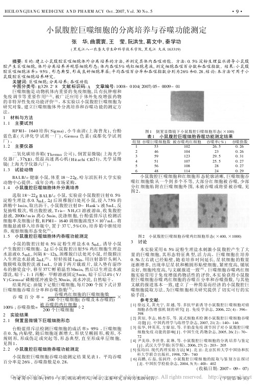 小鼠腹腔巨噬细胞的分离培养与吞噬功能测定