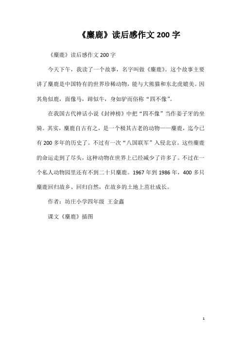 《麋鹿》读后感作文200字