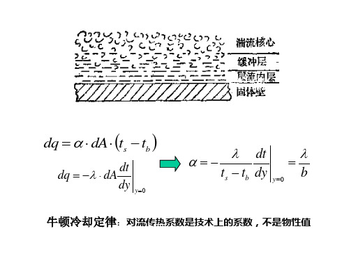 对流给热系数