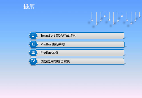 SOA企业服务总线解决方案(ESB)-ProBus