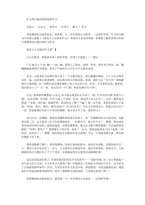 我是小小志愿者作文