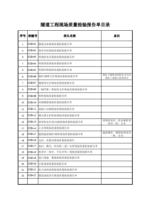 隧道工程现场质量检验报告单(后附全套资料表格)