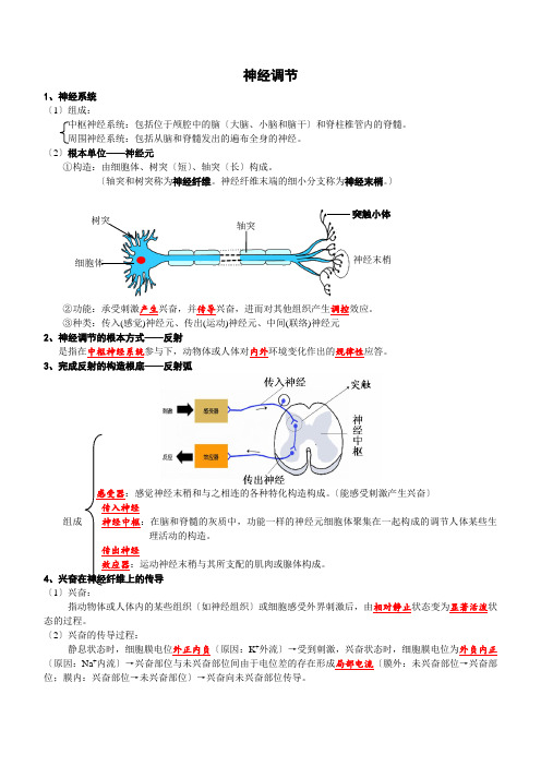 神经-体液-免疫调节,知识点+练习+答案