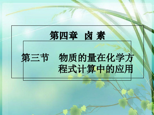 高一化学卤素PPT课件 图文