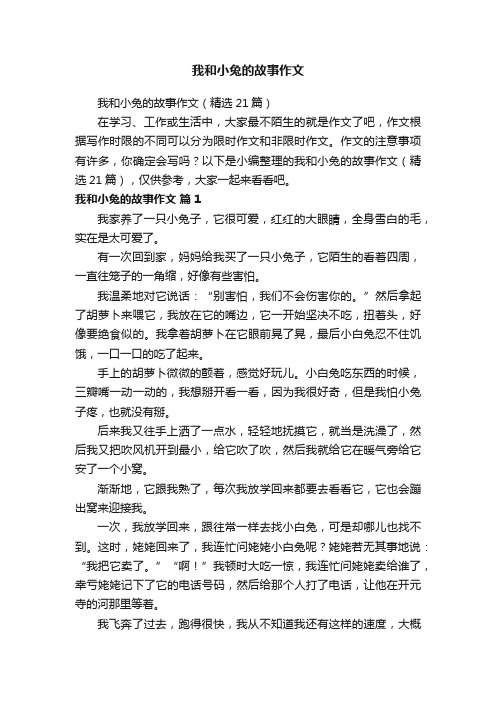 我和小兔的故事作文（精选21篇）