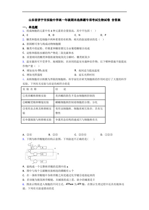 山东省济宁市实验中学高一年级期末选择题专项考试生物试卷 含答案