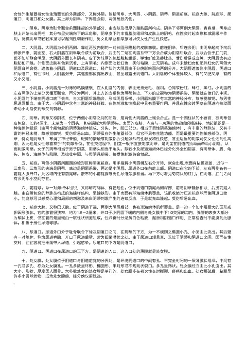 临床执业医师辅导：女性外生殖器解剖图