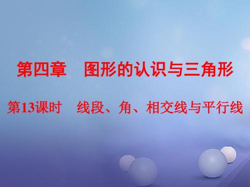 浙江省2017中考数学总复习考点梳理;即时训练第四章图形的认识与三角形第13课时线段角相交线与平行线课件