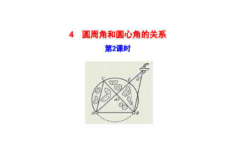 最新北师大版九年级数学下册《圆周角和圆心角的关系》优质教学课件