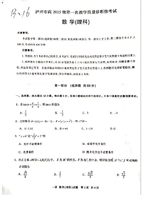 四川省泸州市2018届高三第一次诊断性考试数学理试题(PDF版,有答案)