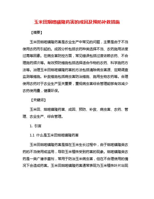 玉米田烟嘧磺隆药害的成因及预防补救措施