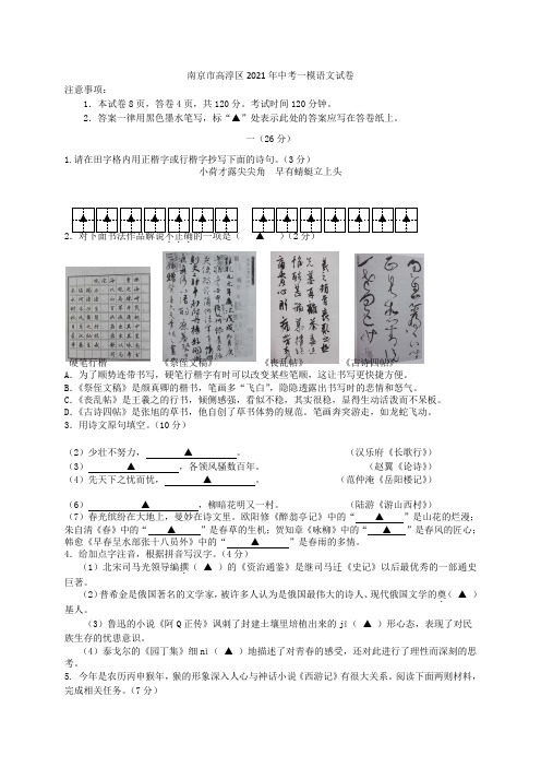 江苏省南京市高淳区2021届中考语文一模试题