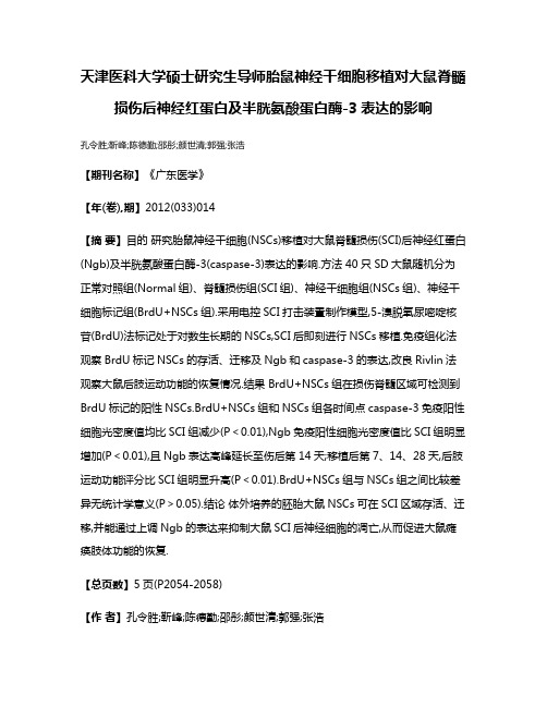 天津医科大学硕士研究生导师胎鼠神经干细胞移植对大鼠脊髓损伤后神经红蛋白及半胱氨酸蛋白酶-3表达的影响