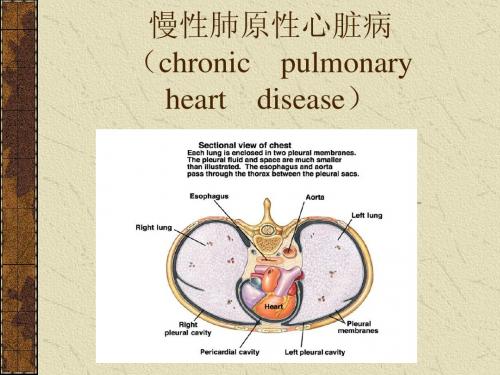 慢性肺原性心脏病