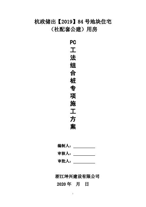 pc专项方案