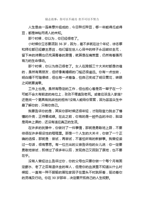 励志故事：你可以不成功但不可以不努力_励志故事