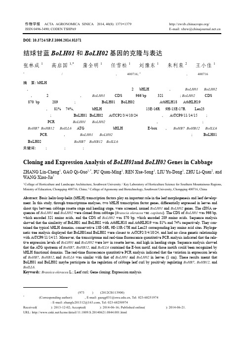 结球甘蓝BoLH01和BoLH02基因的克隆与表达