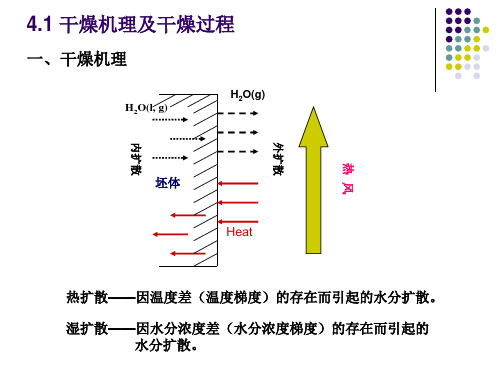 精选陶瓷生产技术及设备之坯体的干燥培训课件