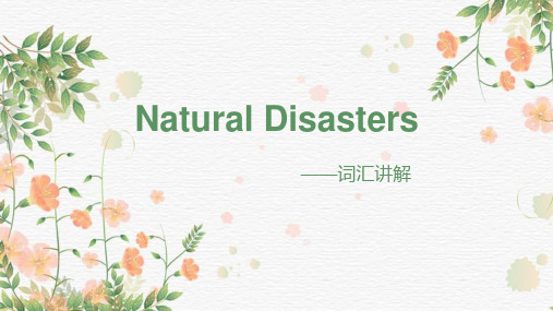 Unit4 Natural Disasters重点词汇讲解 课件-2024届高考英语一轮复习