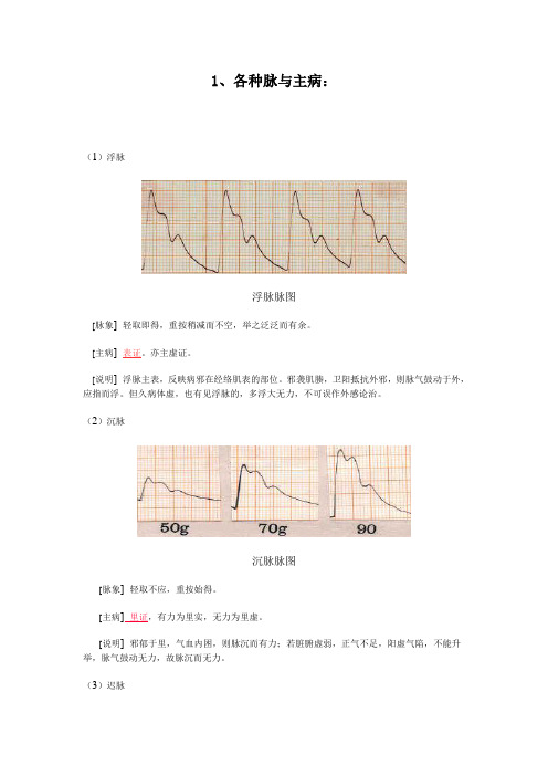 28种脉象(各种脉与主病)