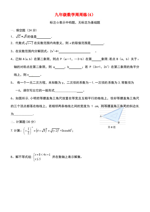 江苏省泰兴市黄桥镇九年级数学下学期周练4(无答案)