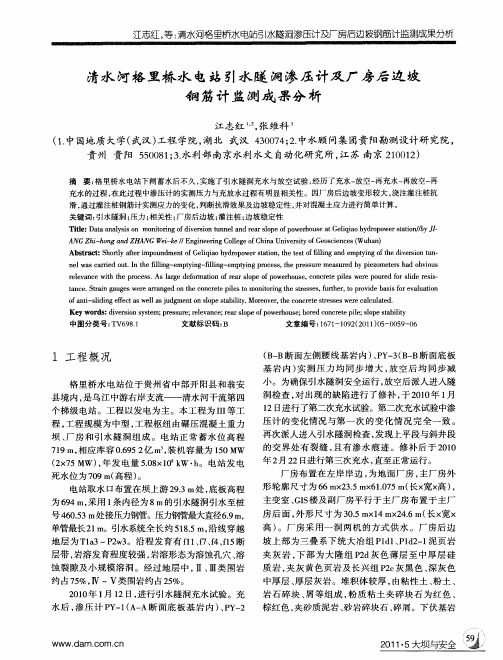 清水河格里桥水电站引水隧洞渗压计及厂房后边坡钢筋计监测成果分析