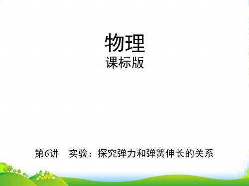 高考物理(课标)一轮复习课件：实验探究弹力和弹簧伸长的关系 (共48张PPT)