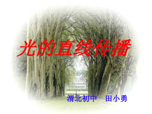 光在同种均匀介质中沿直线传播