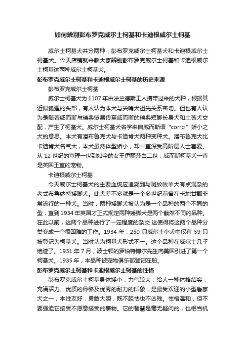 如何辨别彭布罗克威尔士柯基和卡迪根威尔士柯基